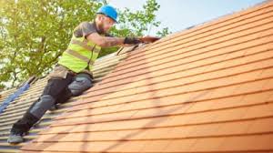 Best Roof Moss and Algae Removal  in Cherokee Village, AR